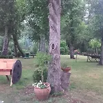 Готель Cabo Festinanza 2*