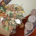 Cabo Festinanza 2*
