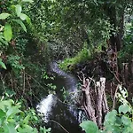 Cabo Festinanza Саншеншо