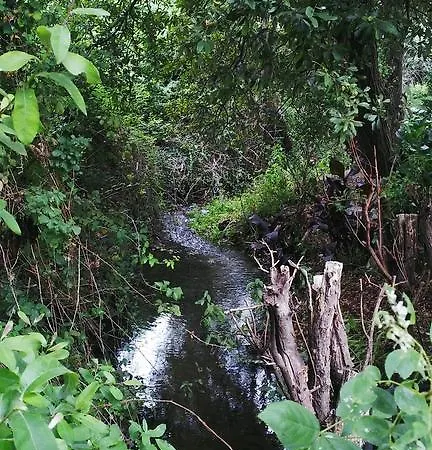 Cabo Festinanza Sanxenxo