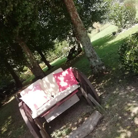 מלון Cabo Festinanza