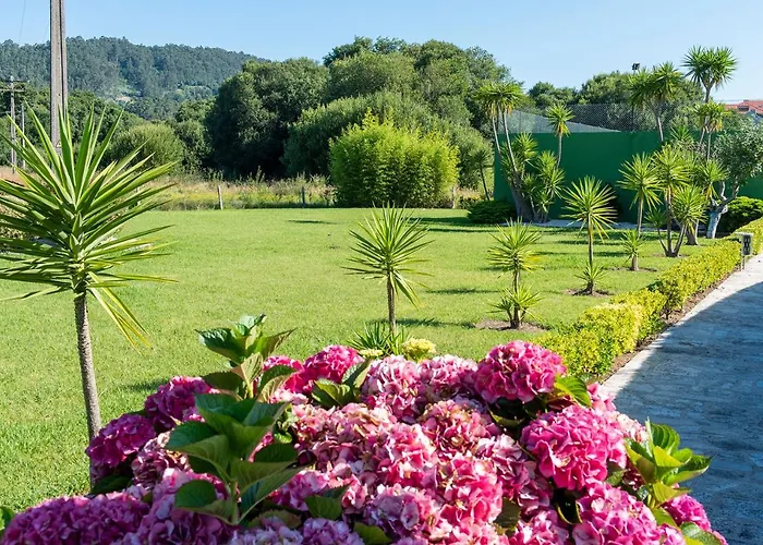 Cabo Festinanza 桑亨霍