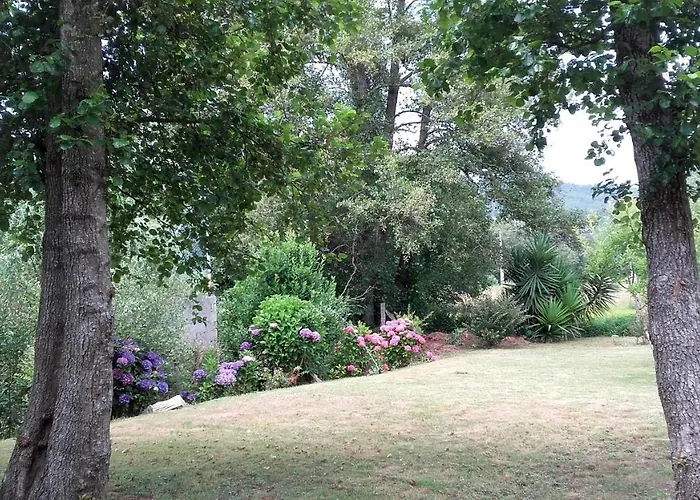 酒店 Cabo Festinanza 2*